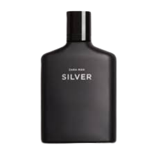 Zara Silver